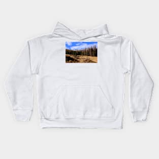 Switzerland Alps Kids Hoodie